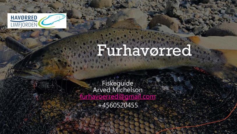 Furhavørred