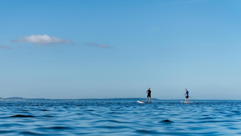Mors, SUP, Limfjorden