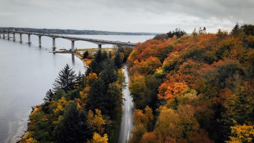 Mors, Skov, Natur, Sallingsundbroen, Limfjorden