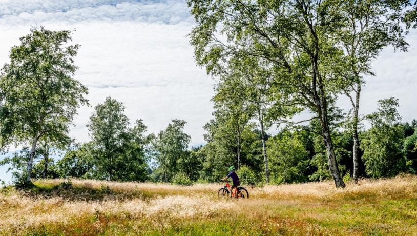 Dreng på cykel i naturen på Mors