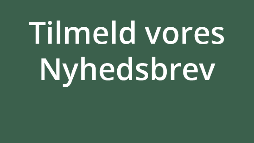 nyhedsbrev