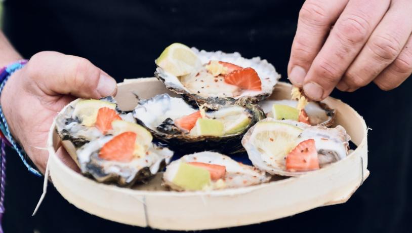 Østers, østerssafari