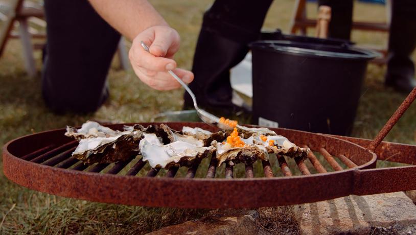 Østerssafari, gastronomi