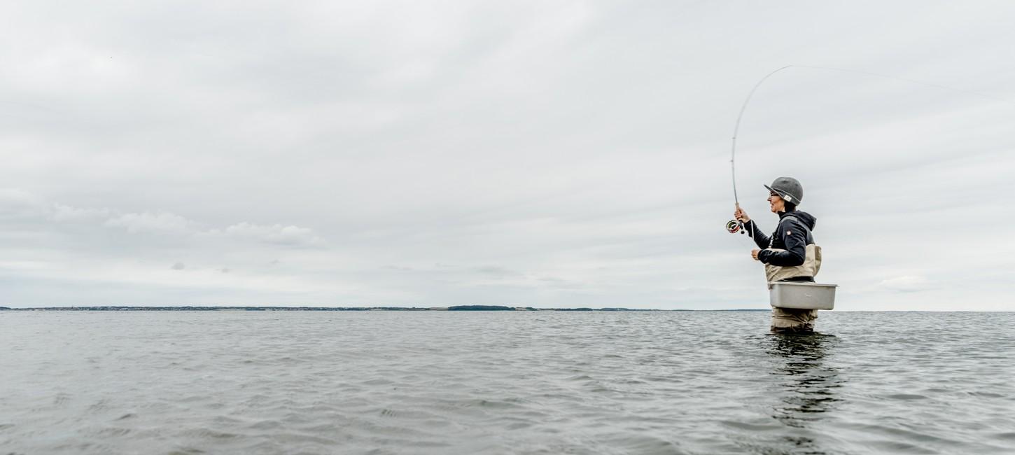 Fiskeri i Limfjorden