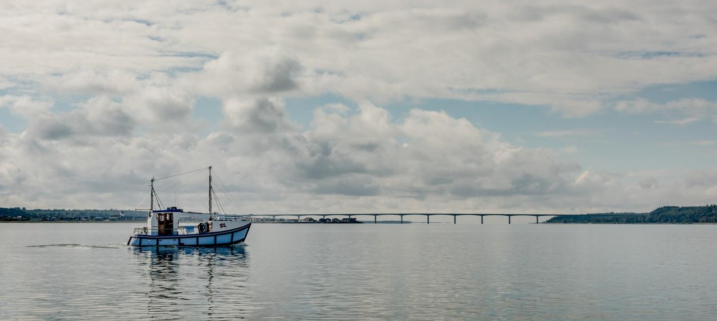 Limfjorden, Fiskekutter, Sallingsundbroen