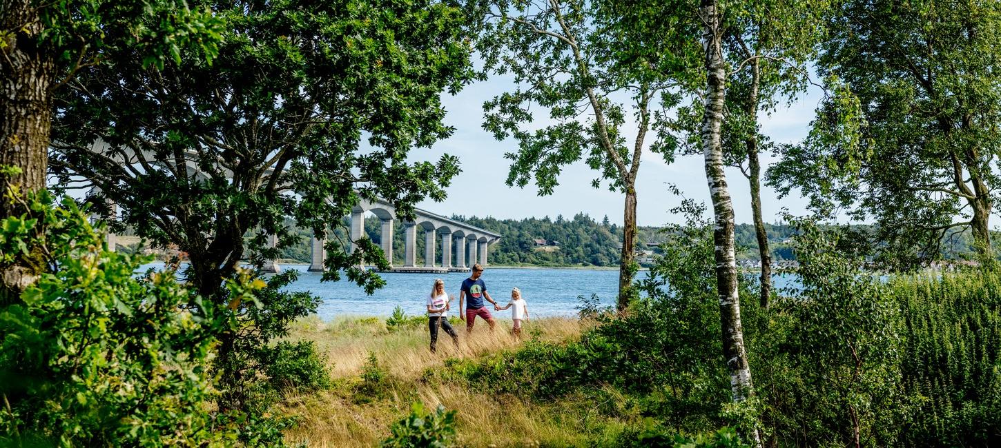 Familie i naturen på Mors, med Sallingsundbroen i baggrunden.