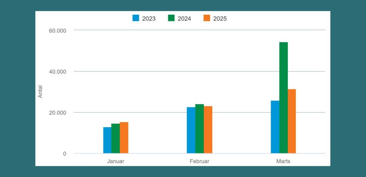 Overnatninger DL - januar-marts 2025