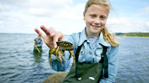 Pige med krabbe Glyngøre