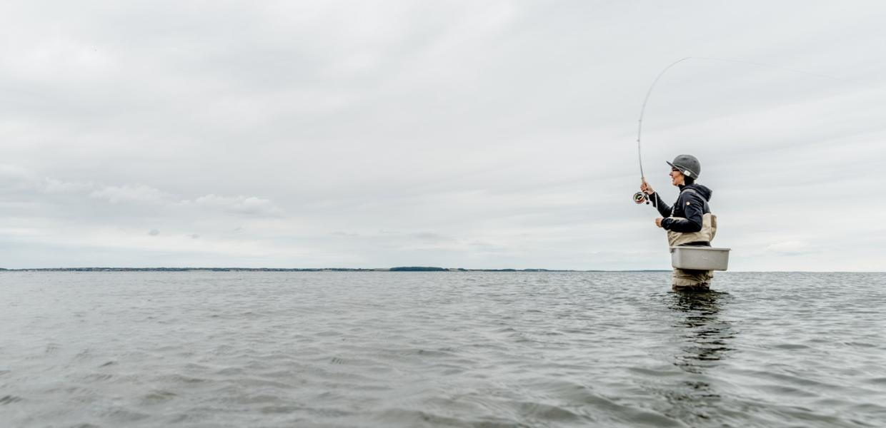 Fiskeri i Limfjorden