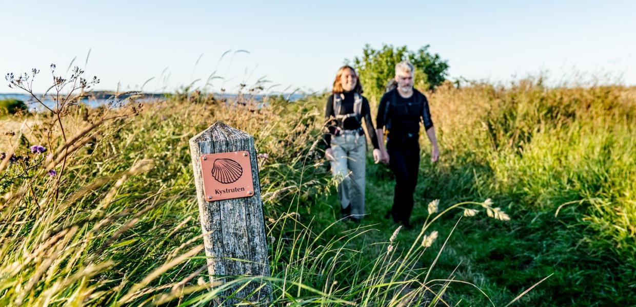 Vandring på Kystruten i den skønne natur på Mors