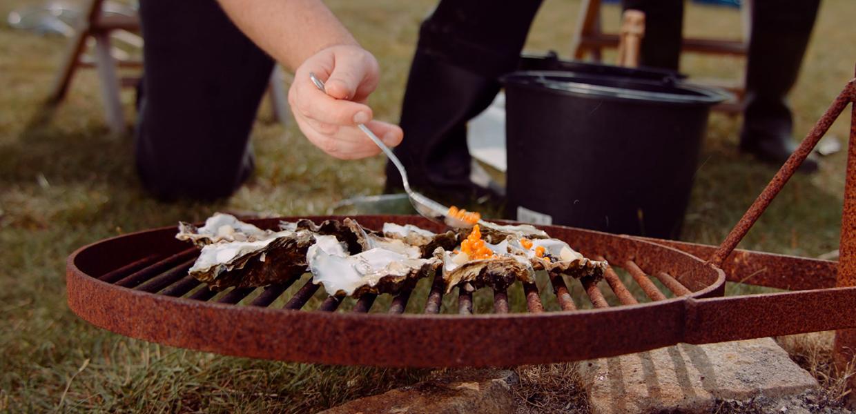 Østerssafari, gastronomi