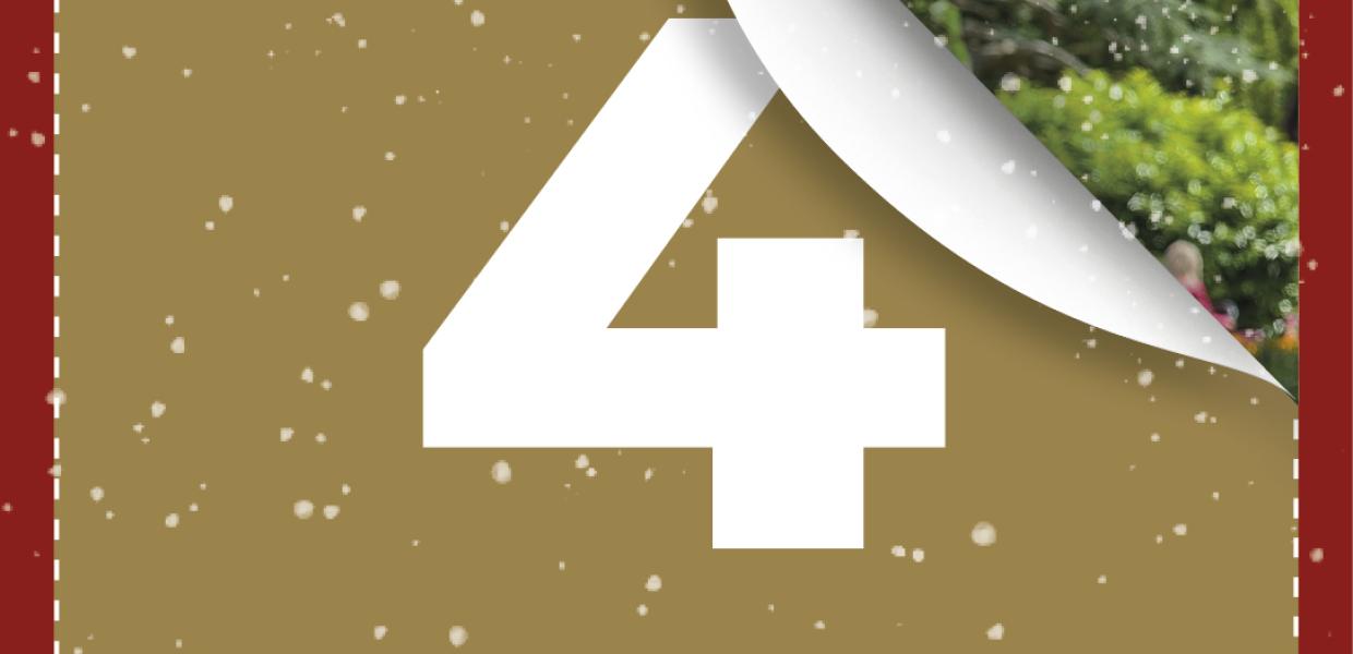 Destination Limfjordens Adventskalender 2025