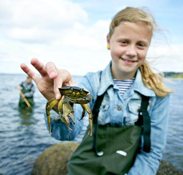 Pige med krabbe Glyngøre