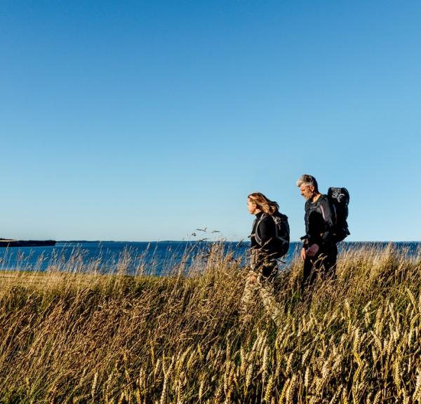 Vandring i den skønne Morsø natur med Limfjorden og Feggesund i baggrunden