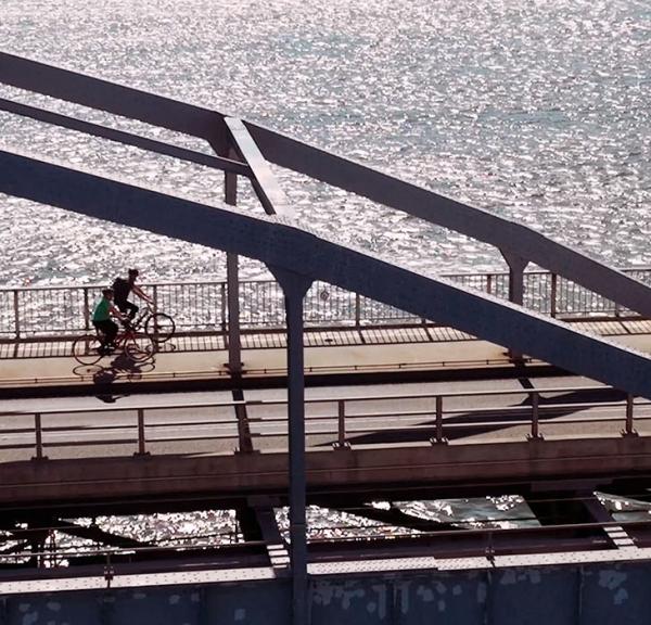 Cykel, Oddesundbroen