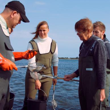 Østerssafari, gastronomi