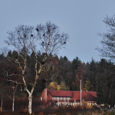 Sallingsund Færgekro