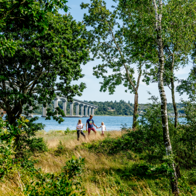 Familie, Sallingsund