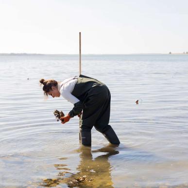 Østerssafari til Østersjagt