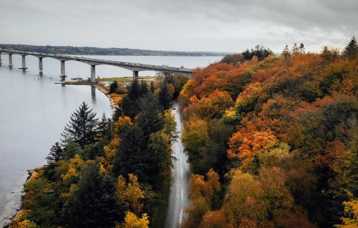 Mors, Skov, Natur, Sallingsundbroen, Limfjorden